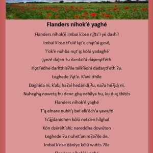 In Flanders Fields - Dene Translation
