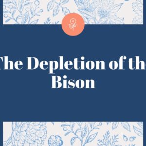 The Depletion of the Bison