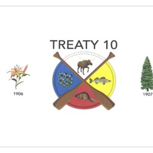 Treaty 10 Flag Rationale