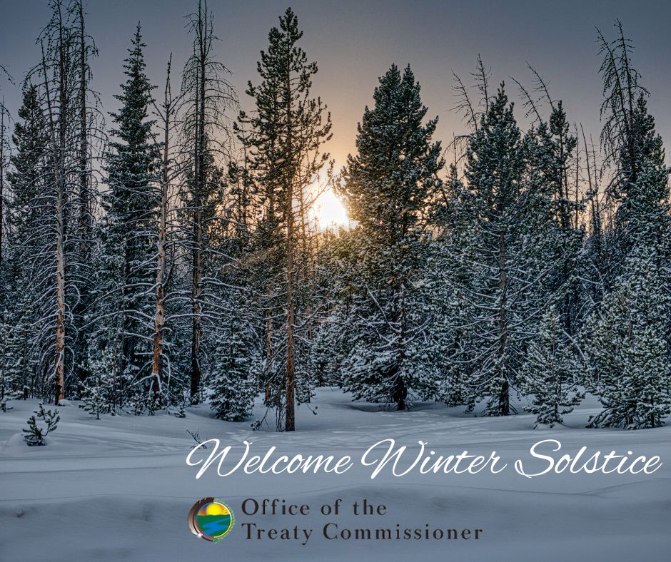 Winter Solstice
